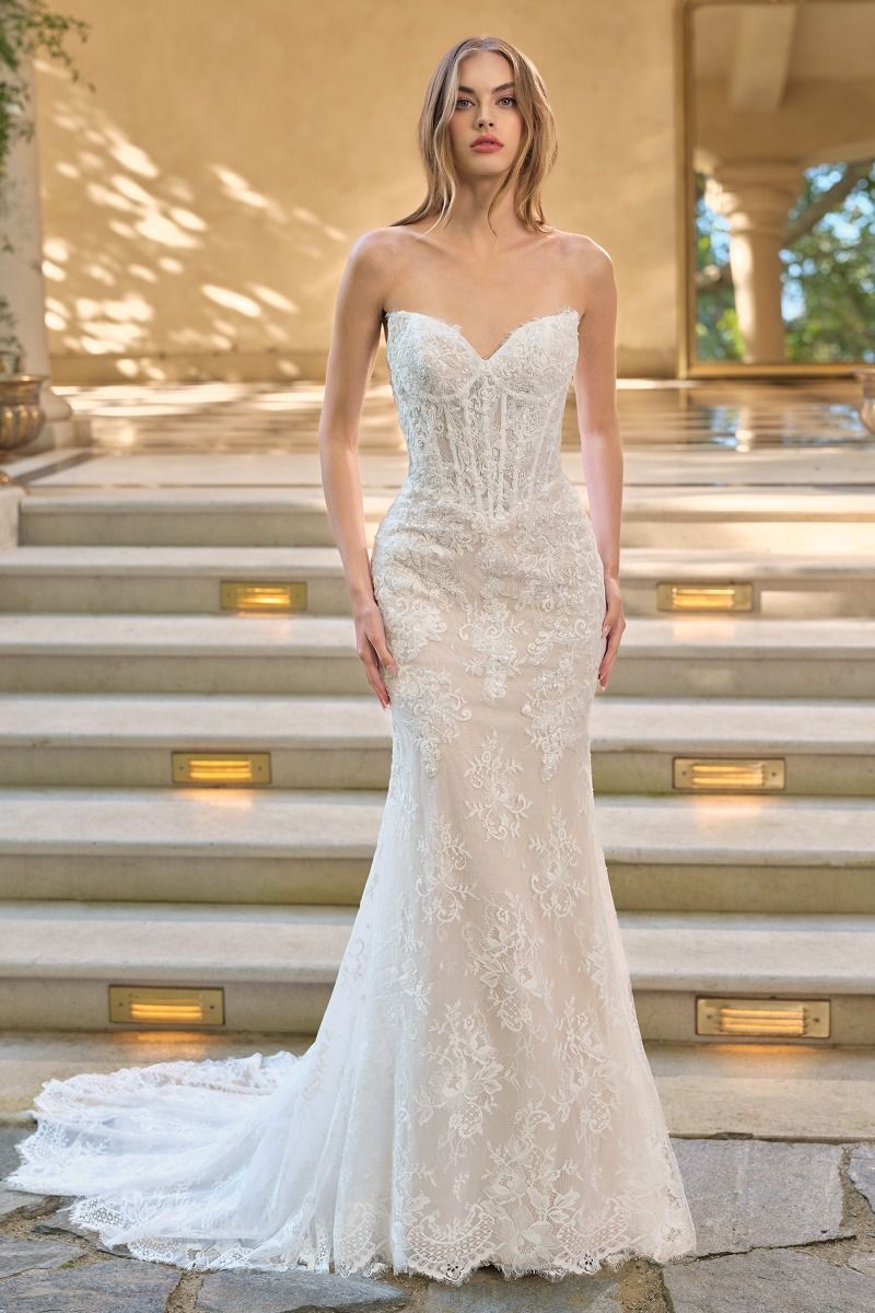 ANDREA & LEO WL071 DRESS