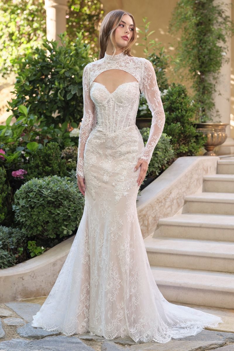 ANDREA & LEO WL071 DRESS